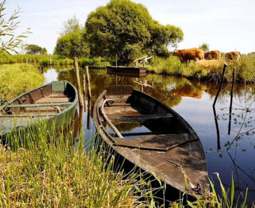 Petit Appartement A La Campagne Proche Mer Missillac Exteriör bild